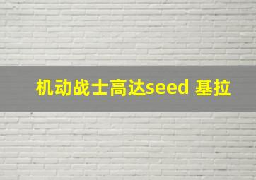 机动战士高达seed 基拉